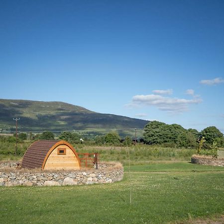 Bluebell Lane Glamping Otel Newry Dış mekan fotoğraf