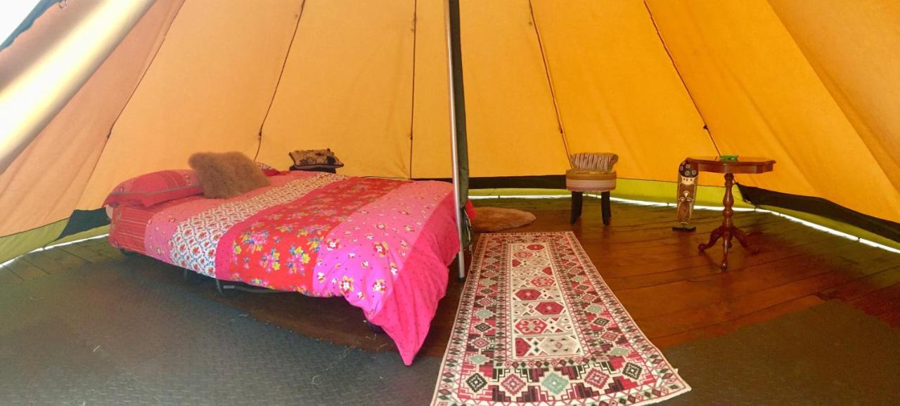Bluebell Lane Glamping Otel Newry Dış mekan fotoğraf