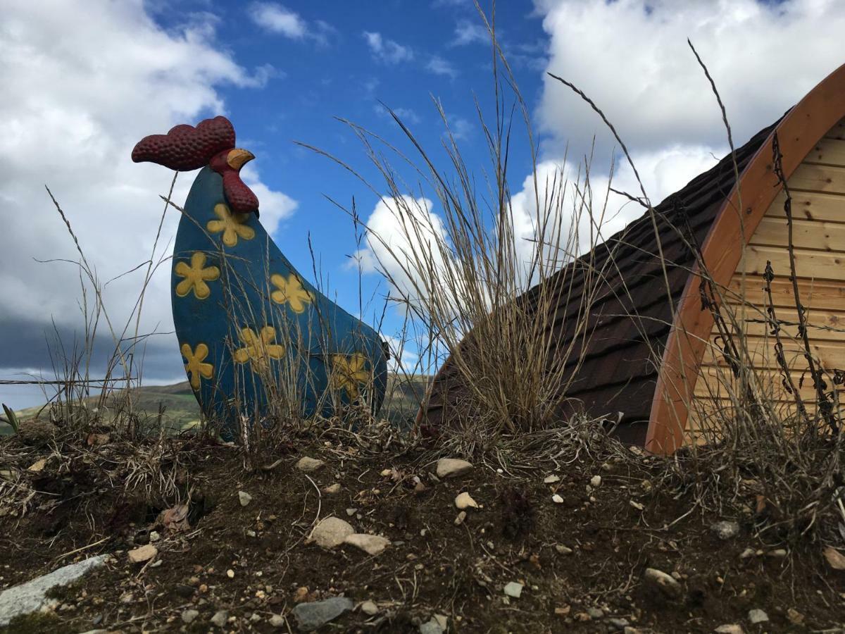 Bluebell Lane Glamping Otel Newry Dış mekan fotoğraf
