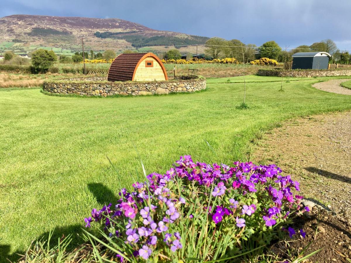 Bluebell Lane Glamping Otel Newry Dış mekan fotoğraf
