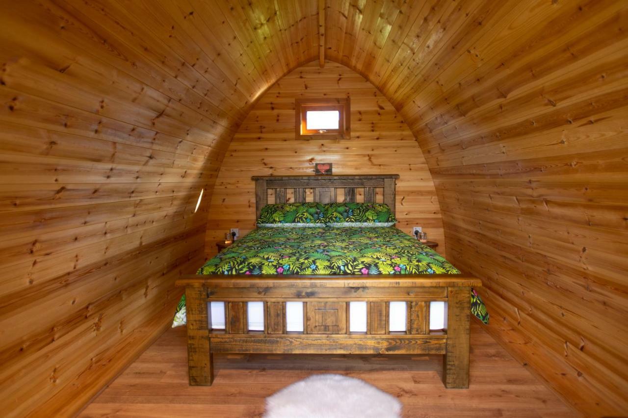 Bluebell Lane Glamping Otel Newry Dış mekan fotoğraf