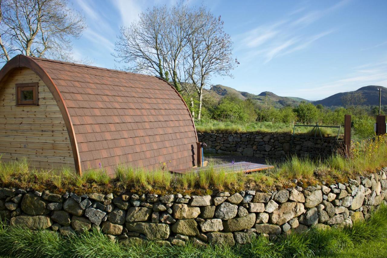 Bluebell Lane Glamping Otel Newry Dış mekan fotoğraf