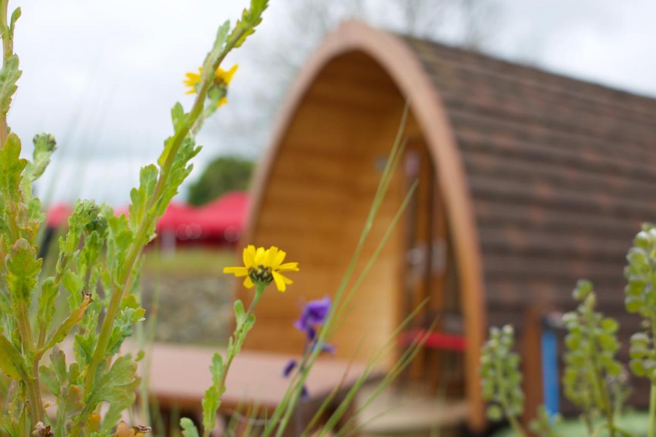 Bluebell Lane Glamping Otel Newry Dış mekan fotoğraf
