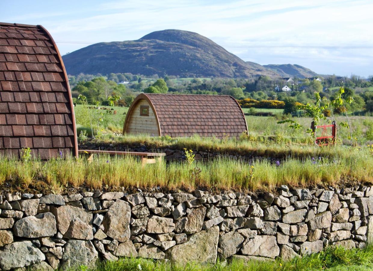 Bluebell Lane Glamping Otel Newry Dış mekan fotoğraf